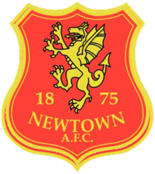 Logo Newtown AFC