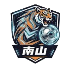 Logo Nanshan Boxin Tech