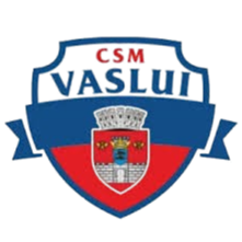 Logo CSM Vaslui