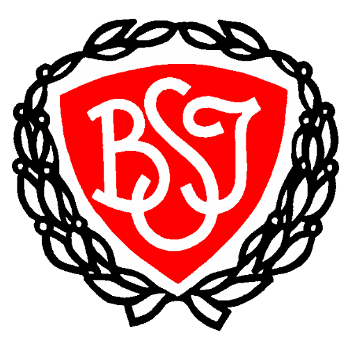 Logo Brondby Strand