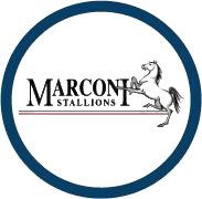 Logo Marconi Stallions